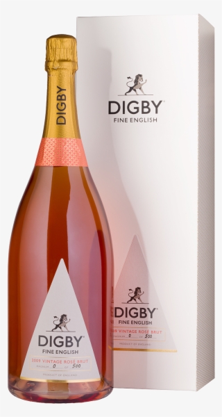 2009 Vintage Rosé Brut Magnum - Champagne