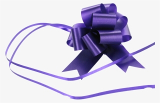 Bow, Pp, 31mm, Ø100mm, Purple - Present
