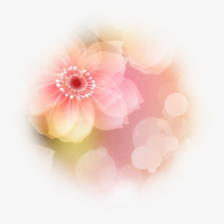 Point Of Light Png - Barberton Daisy