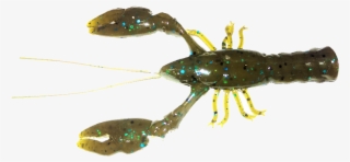 64 Green Pumpkin Las - American Lobster