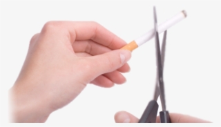 Left Hand Holding Unlit Cigarette, Right Hand Holding - Hand Holding Scissors Png