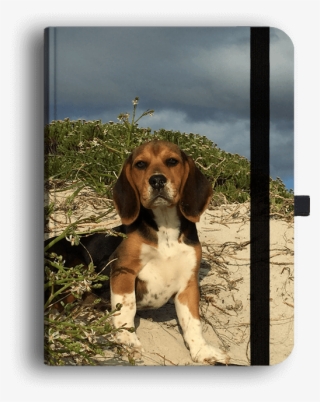 Picture Of Beagle Luxury Journal - Beagle-harrier