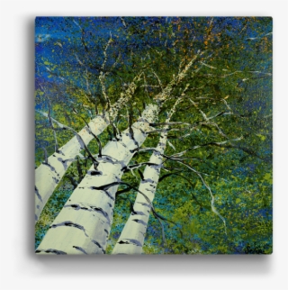 "skyward Aspen Trees" Metal Art (a10bx-lsky) - Birch