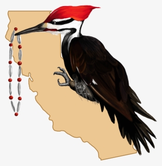Big Time Logo - Pileated Woodpecker