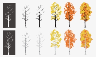 My Process Of Creating An Aspen Tree I Drew - Autumn