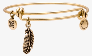 Indian Feather - Earrings