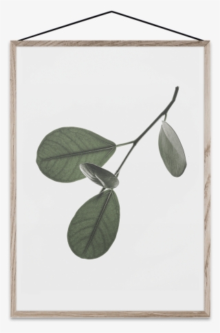 Floating Leaves 05 By Norm Architects For Paper Collective - Picture Frame