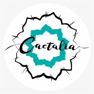 Venta Online De Cactus, Suculentas, Decoración Del - Circle