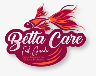 Betta Care Fish Guide - Graphic Design