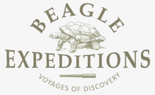 Beagle Expeditions Beagle Expeditions Beagle Expeditions - Walker Filtration