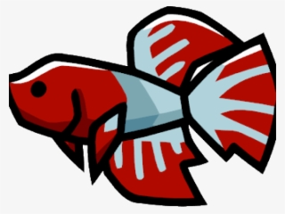 Betta Png