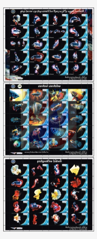 Siamese Fighting Fish Ps(200 - Fictional Character