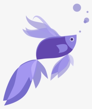 Windows 8.1 Beta Fish