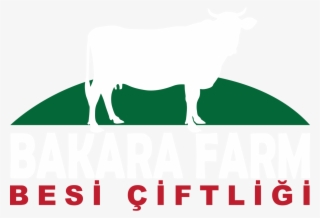 Logo 19 Jun 2018 - Illustration