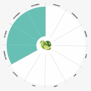 Bio Limes Production Calendar - Circle