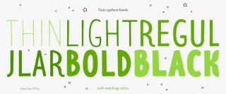 Gallery - Calligraphy