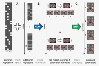 Model Averaging For General Linear Models In Fmri Data - Fmri Glm