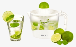 Citrus Juicer Your Way - Juicer