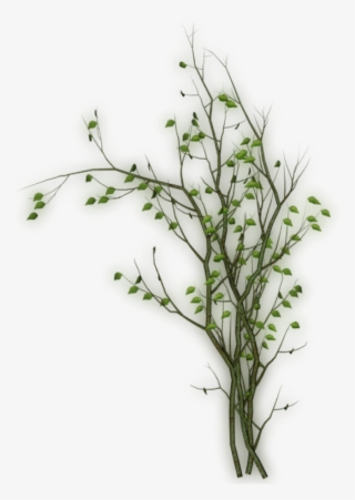 Vine Sticker - Pond Pine