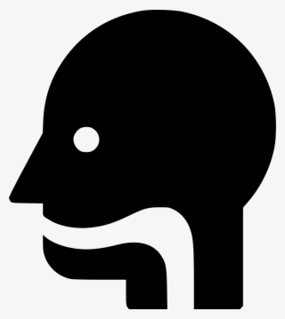Png File - Esophagus Vector Png