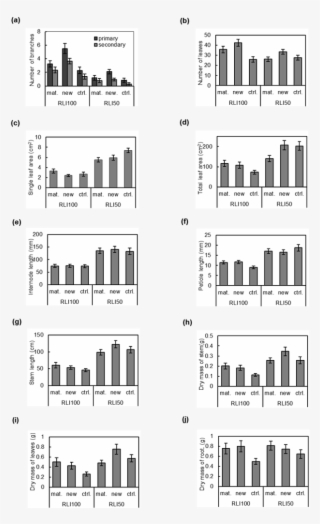 Oprimary Dsecondary 40 으30 10 Mat - Illustration