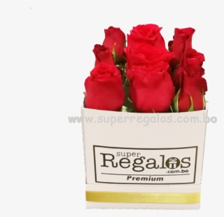 Aniversario - Floribunda
