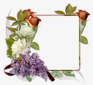 Fotomontaje Con Rosas Blancas Y Rojas - Descargar Marcos