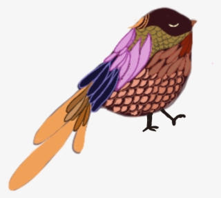 Colored Feathers Demi