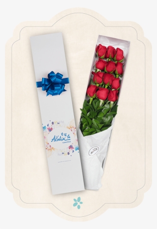 Inicio / Flores / Rosas - Tulip