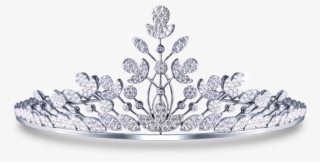 Filter - Tiara
