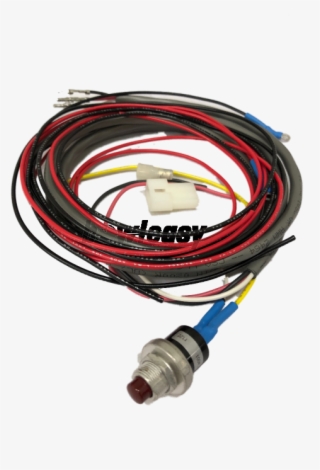 Why Bowl-easy - Wire