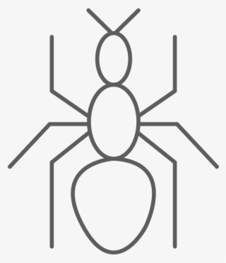 Hormigas Invasoras - - Circle