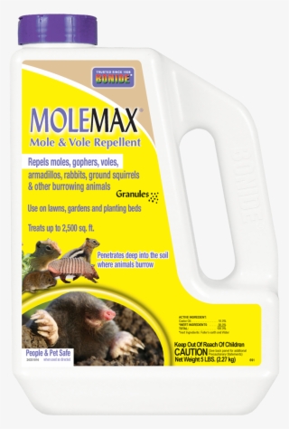 Molemax Mole & Vole Repellent - Bonide Molemax Mole And Vole Repellent