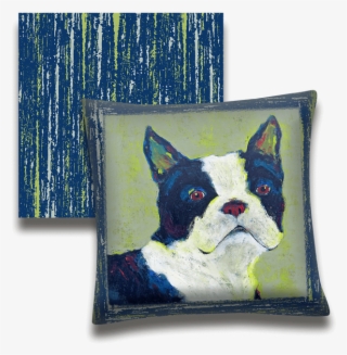 Boston Terrier