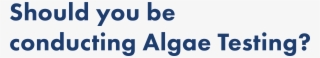 Should You Be Conducting Algae Testing - Graphics