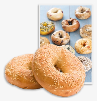 In - Bagel