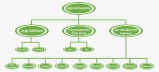 Algae-nutraceutical - Circle