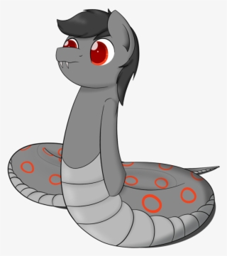 1280 X 960 5 - Spicebush Swallowtail