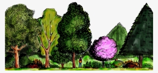 Foresta2 - Botanical Garden