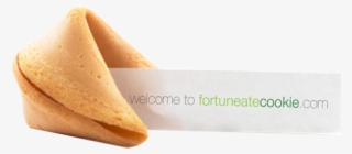 Fortune Cookie With Message - Fortune Cookie