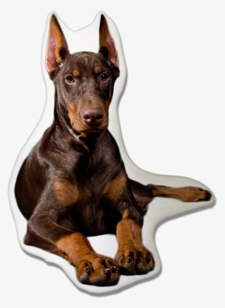 Doberman Pinscher Dog Pillow - Black And Ginger Dog