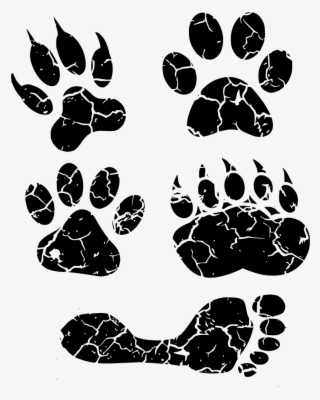 Download Png - Paw Print And Footprint