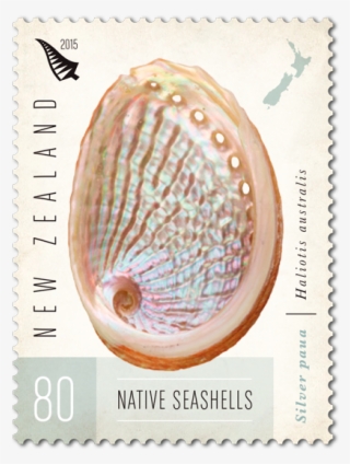 Product Listing For New Zealand Native Seashells - Post Card Stamp Canada
