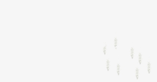 Free Png Download Footprint Png Images Background Png - Drawing