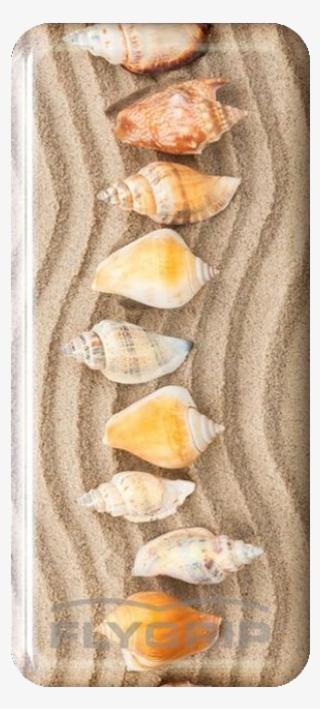 Flygrip Beach Shells Bethany - Wonton