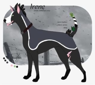 Unknown, Perhaps A Raven X Doberman Cross Of Sorts - Great Dane