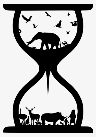 Ecology And Mode Of Life Explain Lifespan Variation - Silhouette