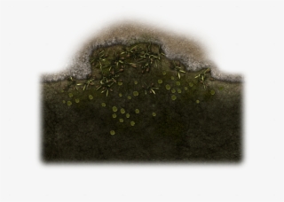114358-vtwm Swamp 13 - Moss