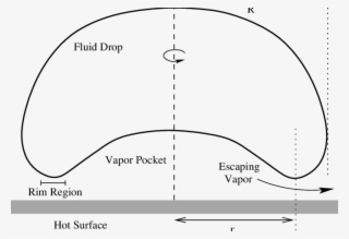 The Drop Is Levitated On A High-pressure Vapor Pocket - Diagram