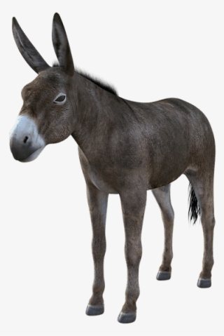 You Might Be A Democrat Barry Bebart - Burro